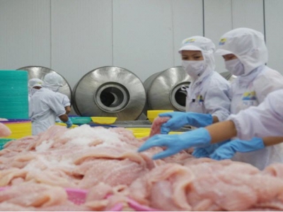 Pangasius exports target US$1.7 billion in 2022