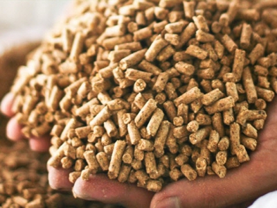 Animal feed exports exceed USD 1 billion mark for the first time