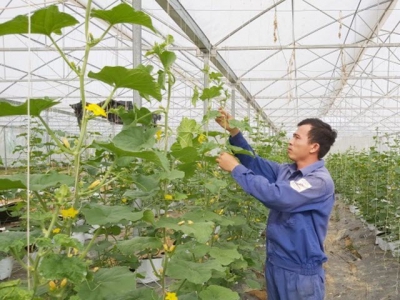 Nghe An province posts the highest agriculture growth in the north-central region in 2021