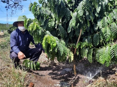 Relieved of drought with water-saving irrigation system