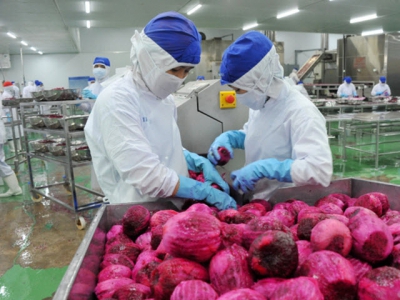 Enhancing the frequency of inspections of dragon fruits exported to Europe