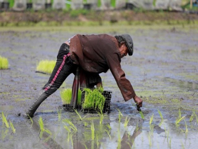 Thai farmers fear loss of land to mega industrial zone