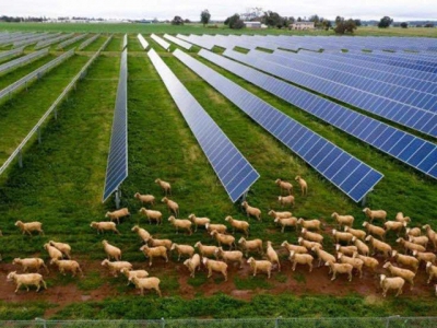 Farmers shouldnt have to compete with solar companies for land