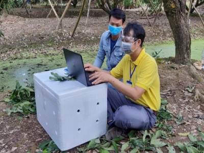 Livestreaming right at the garden to sell agricultural products across the country