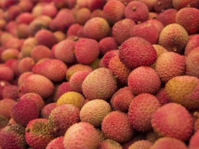 Lychee genome tells a colorful story about a colorful tropical fruit