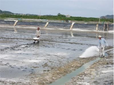 Hướng Dẫn Kỹ Thuật Nuôi Tôm Hạn Chế Dịch Bệnh