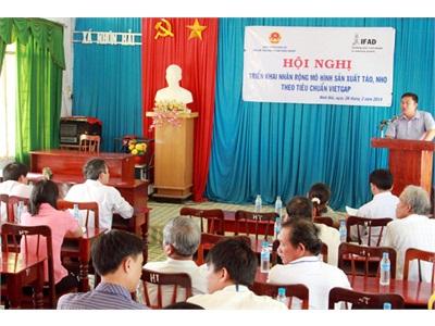 Ninh Hải (Ninh Thuận) Nhân Rộng Mô Hình Sản Xuất Táo, Nho Theo Tiêu Chuẩn VietGAP