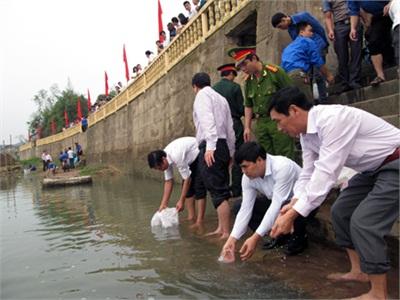 Tiên Yên (Quảng Ninh) Thả 25.000 Con Cá Giống Về Môi Trường Tự Nhiên