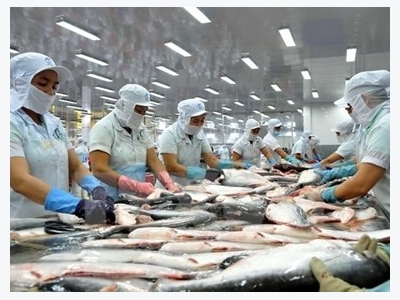 Ministry strives for sustainable development of tra fish