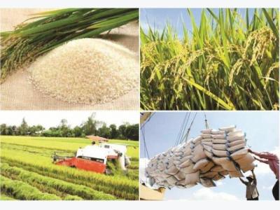 Institutional barriers for Vietnamese rice removed