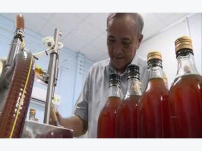 Ninh Thuan farmers make fortune with VietGap grapes