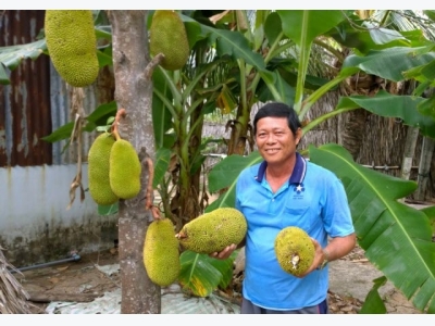 Nơi đất lành sinh trái ngọt