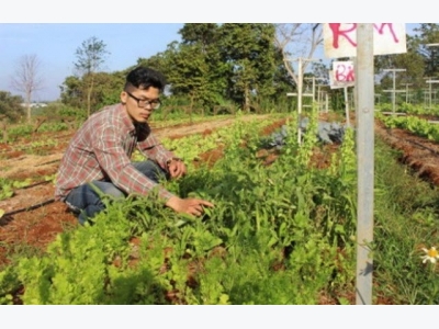 VN garden has Israeli roots