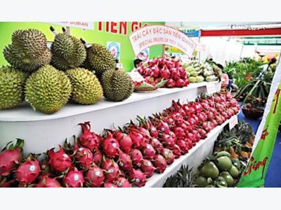Vietnams vegetable and fruit exports try to maintain sustainable growth