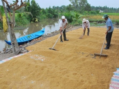 Import demand continues boosting Vietnams rice export