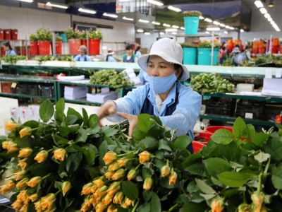 Vietnams Da Lat targets breakthrough in flower export