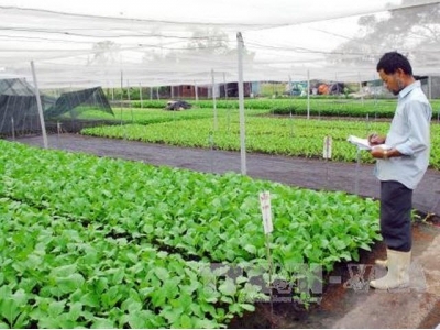 City district eyes urban farming