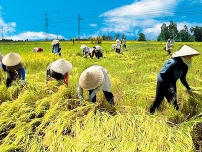 Vietnams agriculture exports on track to reach record high