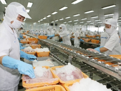 Seafood export faces numerous barriers