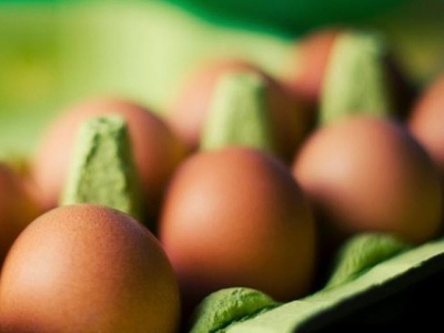 Fatty acid metabolism could lead to new designer eggs