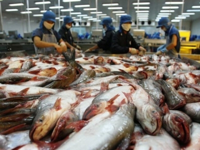 Measures sought for fisheries sectors sustainable development