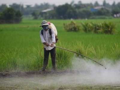 World Bank offers advice on reducing agricultural pollution in Vietnam