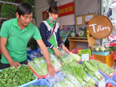 Long An: 12 more hi-tech vegetable production models to be implemented by year-end
