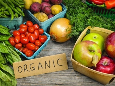 Organic produce exporters explore global opportunities