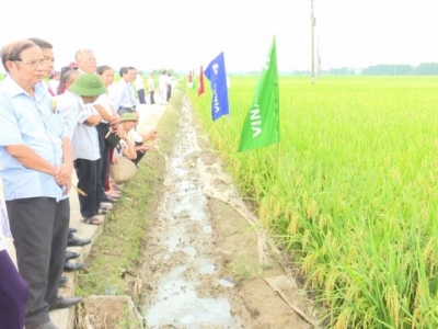 Hanoi boosts agricultural promotion