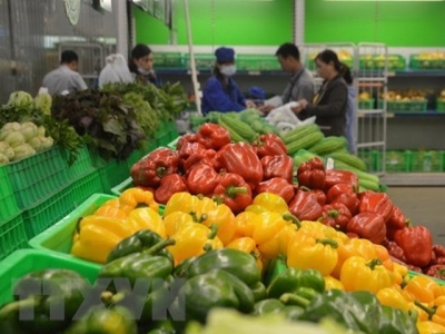 Vietnam seeks to export more agricultural products to RoK