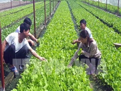 Workshop seeks to help farmers in smart agriculture