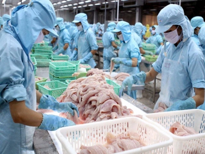 Vietnam fourth globally in seafood exports