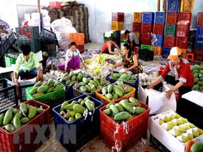 Fruit, vegetable exports down 9.9 percent in Jan-Feb