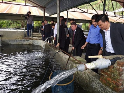Lào Cai to set up agricultural speciality areas