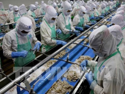Vietnam targets 10 billion USD from seafood exports in 2019