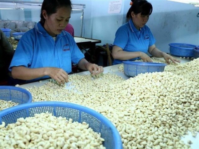 Vietnamese cashew sector seeks to increase export value