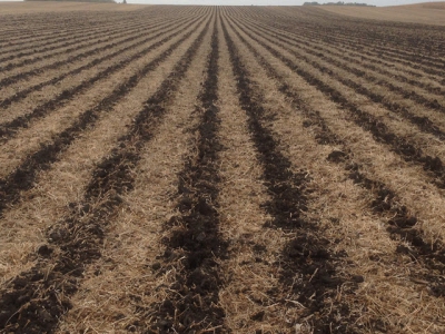 Tillage vs no-till: a farmers cost comparison