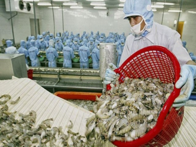 EU to be the first billion dollar market of Vietnams shrimps