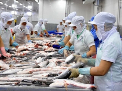 Tra fish export expected to bring home 600 million USD in Q1