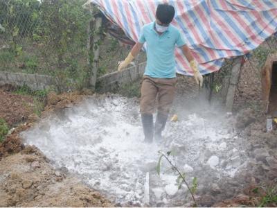 Kỹ thuật tiêu hủy, giết mổ bắt buộc động vật mắc bệnh