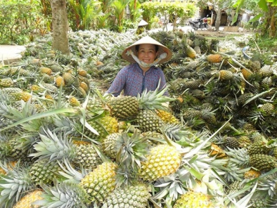 Hậu Giang plans $69 million agribusiness project