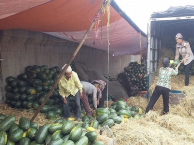 Vietnamese agriculture suffers from corona epidemic