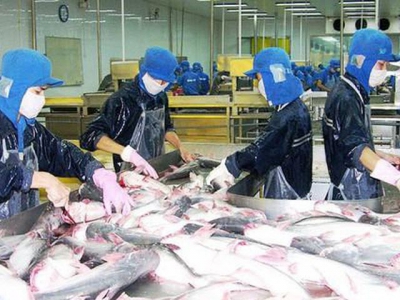 Prices of pangasius fish, poultry eggs in Mekong Delta continue to decline