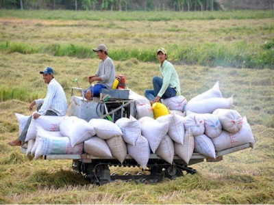 Joy for all, except farmers