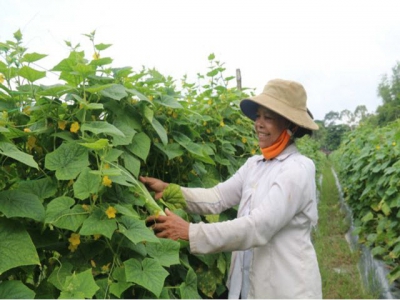 Trà Vinh Provinces poverty alleviation measures yield solid results