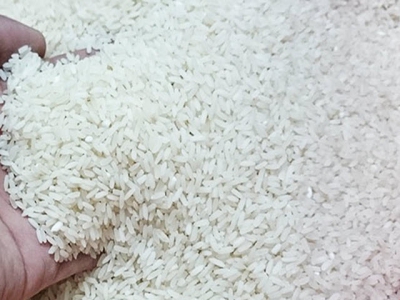 Việt Nam to achieve rice export target this year: insider
