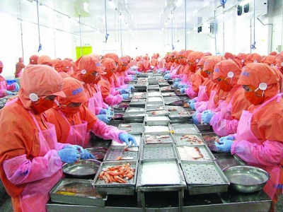 Shrimp exports over US$4 billion is in hand