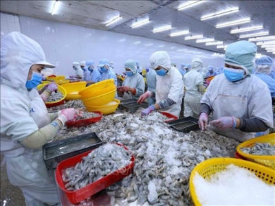 Việt Nam to be among worlds main shrimp producer