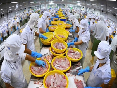 Fishery exporters take pandemic in their stride