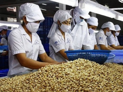 Cashew exports surge 46% over two months
